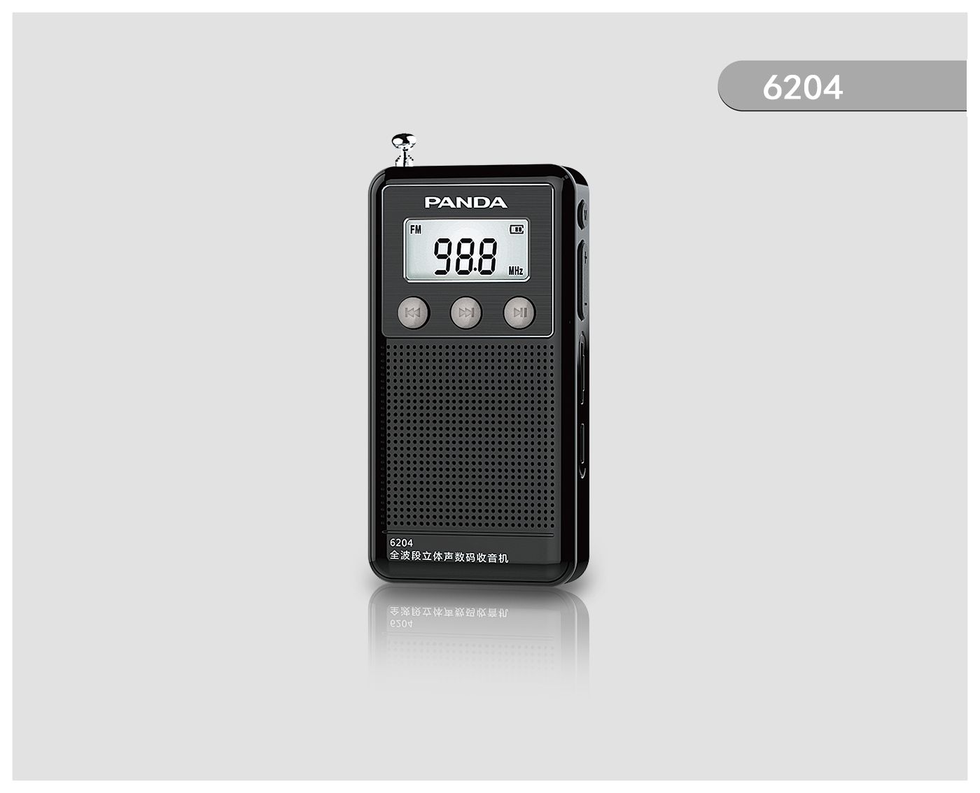 6204 ȫwaC